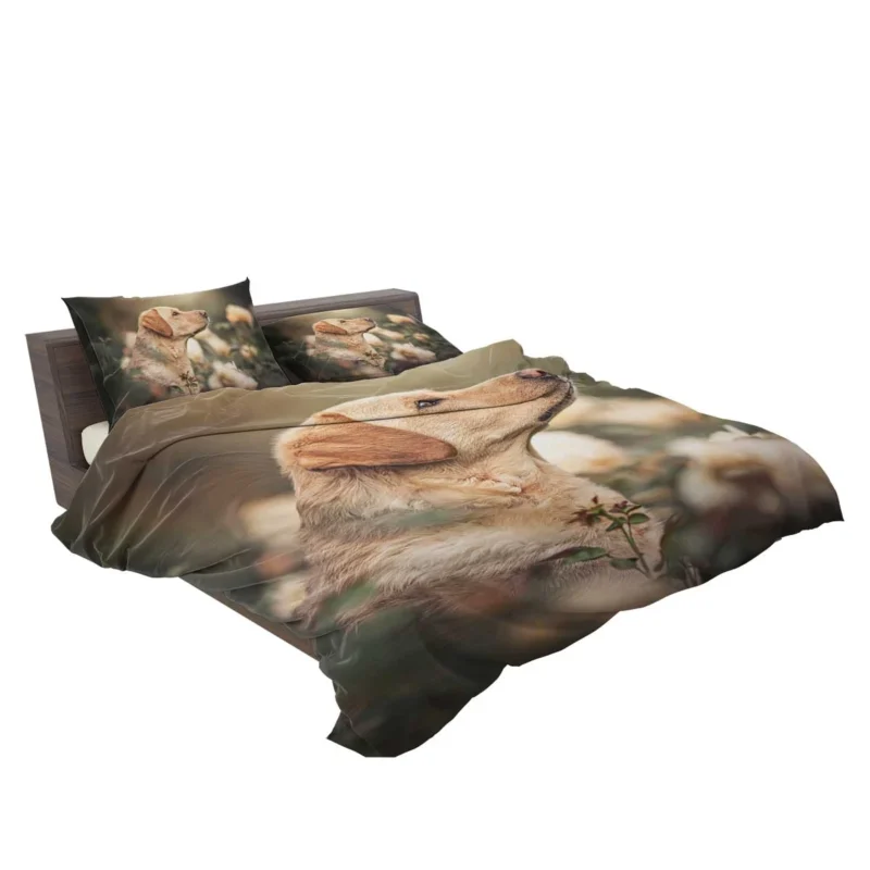 Fourfold Canine Elegance: Labrador Quartet Bedding Set 2