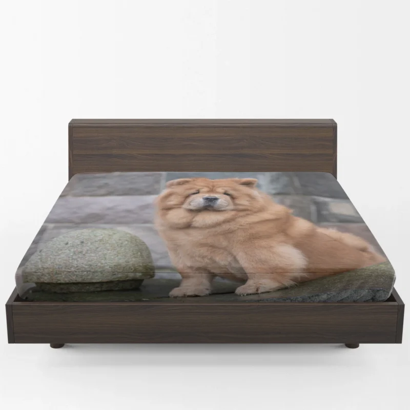 Fourfold Chow Chow Beauty Fitted Sheet 1