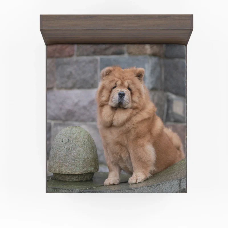 Fourfold Chow Chow Beauty Fitted Sheet