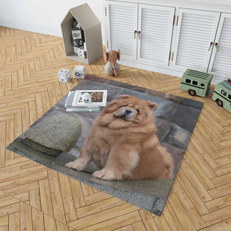 Fourfold Chow Chow Beauty Floor Rug 1