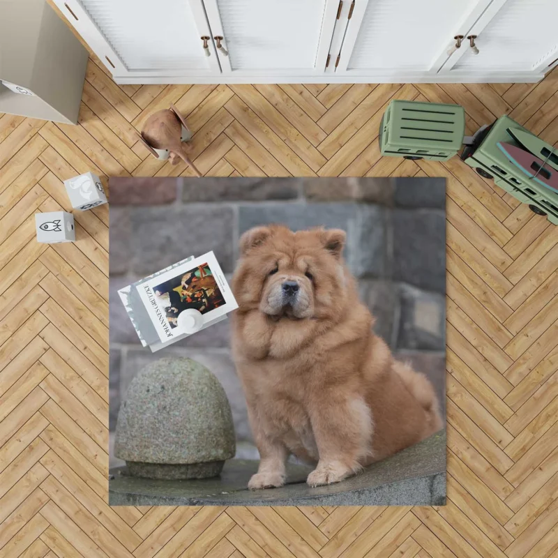 Fourfold Chow Chow Beauty Floor Rug