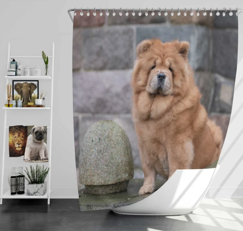 Fourfold Chow Chow Beauty Shower Curtain