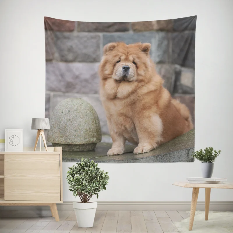 Fourfold Chow Chow Beauty Wall Tapestry