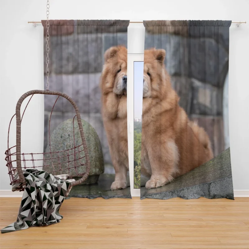 Fourfold Chow Chow Beauty Window Curtain