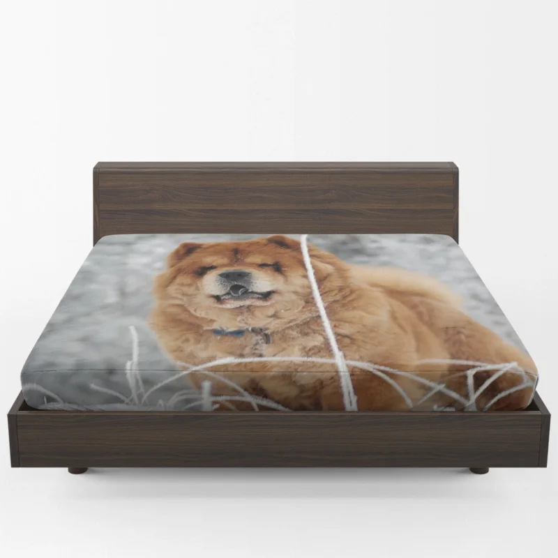 Fourfold Chow Chow Excellence Wallpaper Fitted Sheet 1