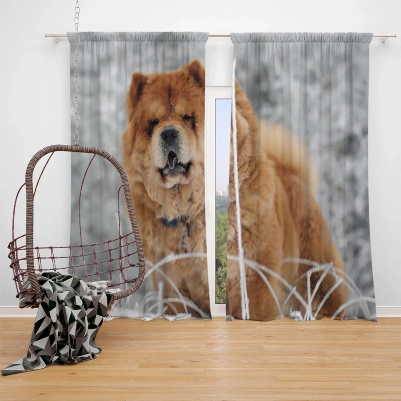 Fourfold Chow Chow Excellence Wallpaper Window Curtain