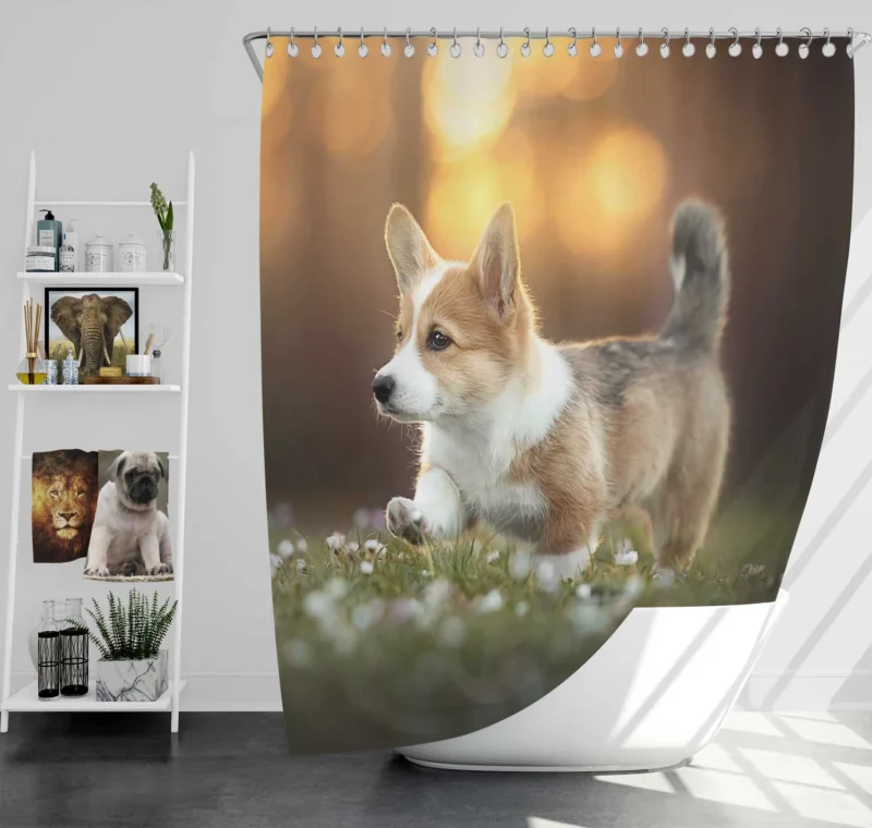 Fourfold Corgi Charm Dog Quartet Shower Curtain