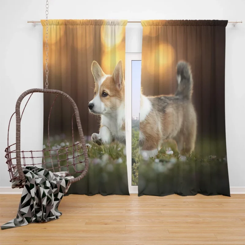 Fourfold Corgi Charm Dog Quartet Window Curtain