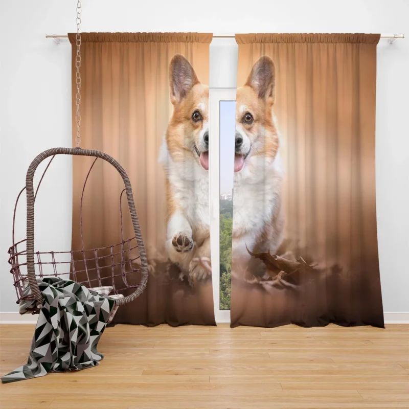 Fourfold Corgi Cuteness: Corgi Quartet Window Curtain