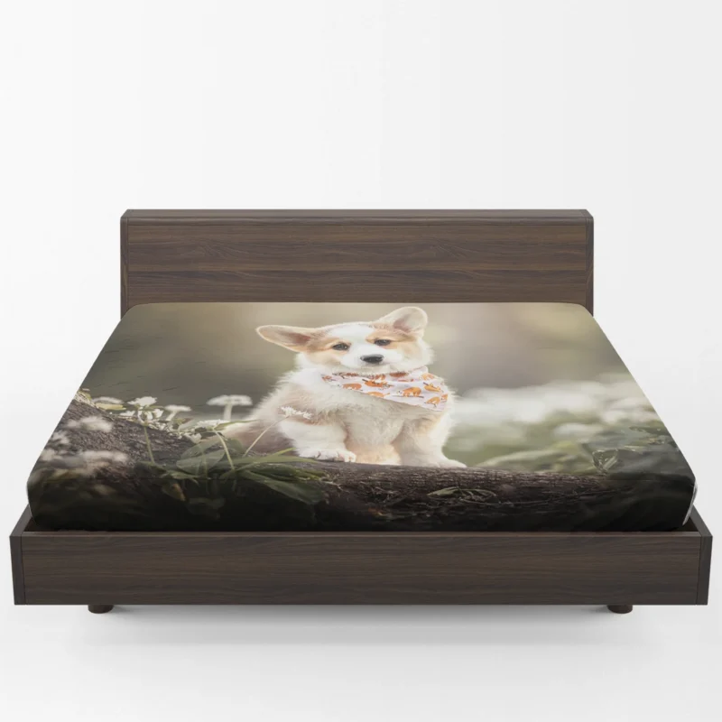 Fourfold Corgi Very Cuteness: Corgi Quartet Fitted Sheet 1