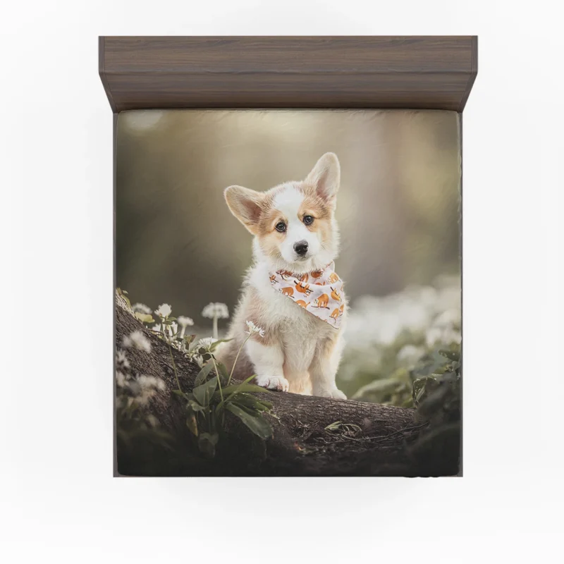 Fourfold Corgi Very Cuteness: Corgi Quartet Fitted Sheet