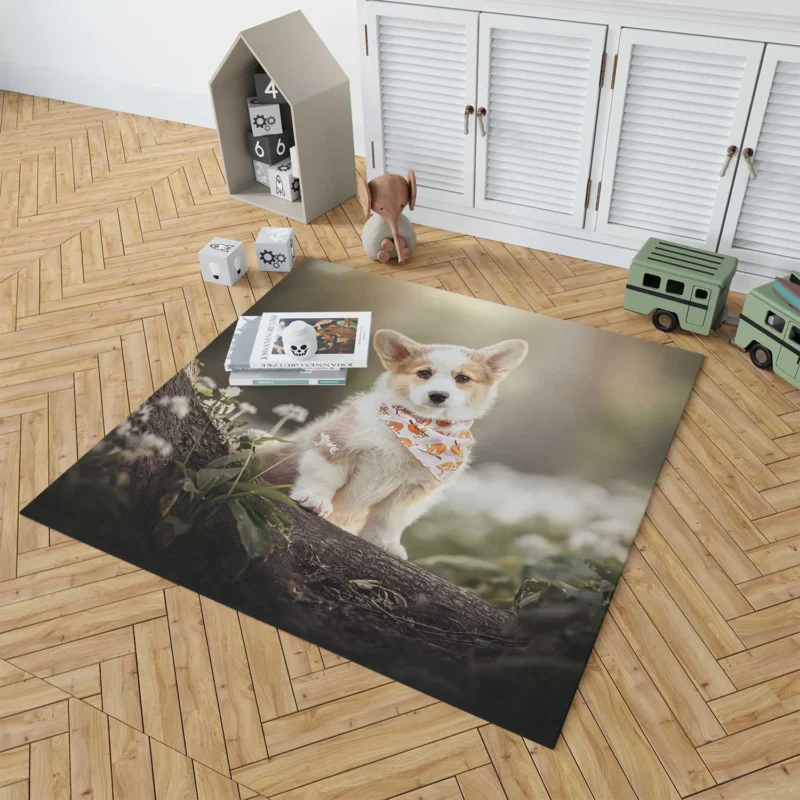 Fourfold Corgi Very Cuteness: Corgi Quartet Floor Rug 1