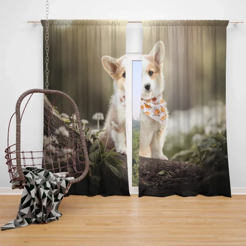 Fourfold Corgi Very Cuteness: Corgi Quartet Window Curtain