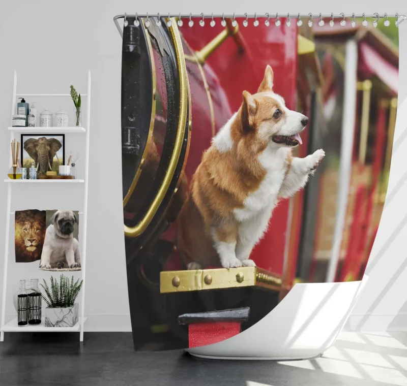 Fourfold Cute Corgi Elegance Quartet Shower Curtain