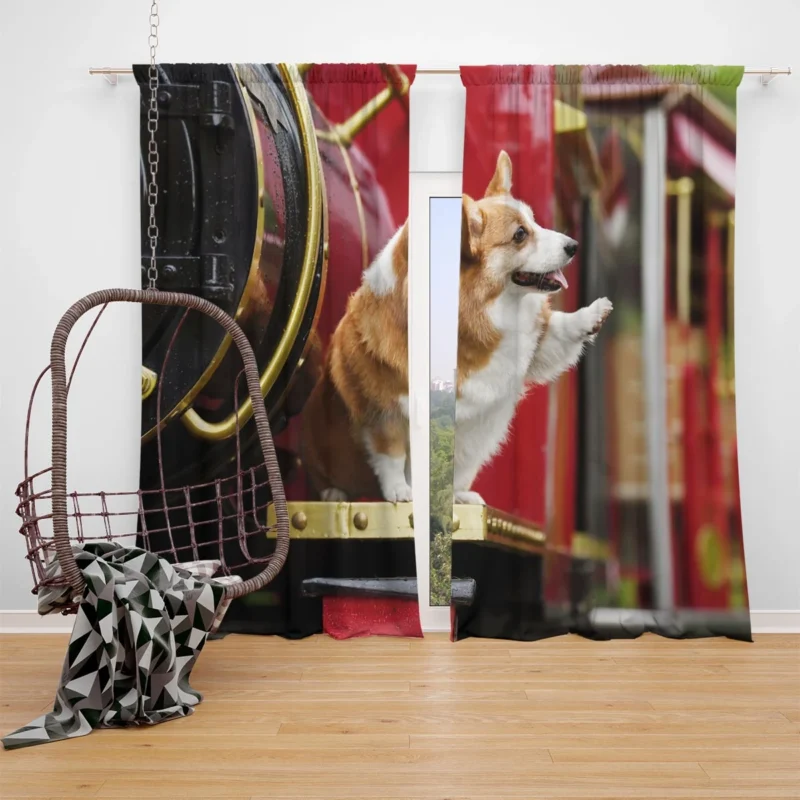 Fourfold Cute Corgi Elegance Quartet Window Curtain