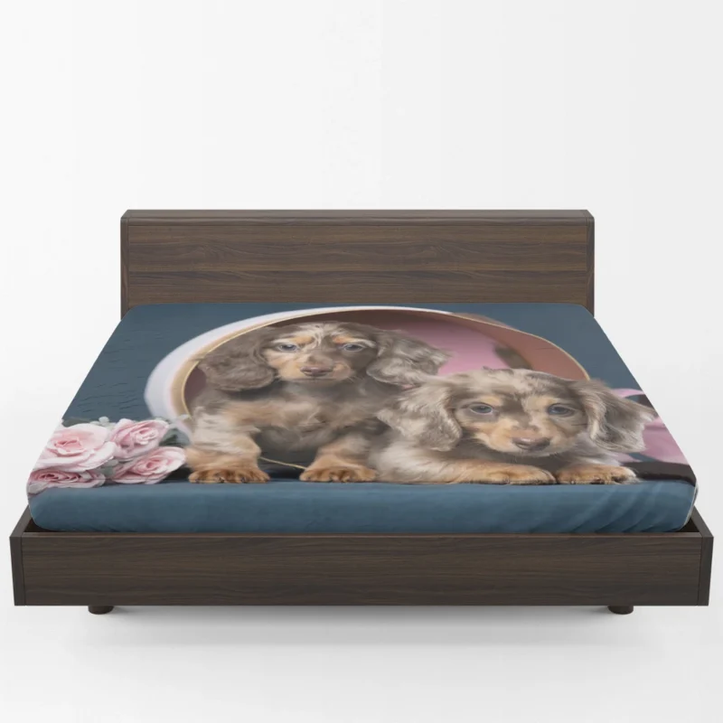 Fourfold Dachshund Beauty: Dachshund Quartet Fitted Sheet 1