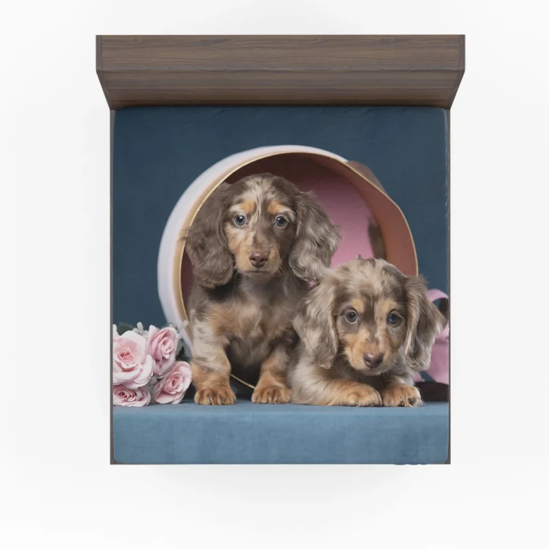 Fourfold Dachshund Beauty: Dachshund Quartet Fitted Sheet