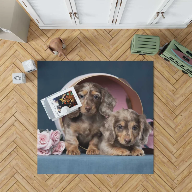 Fourfold Dachshund Beauty: Dachshund Quartet Floor Rug