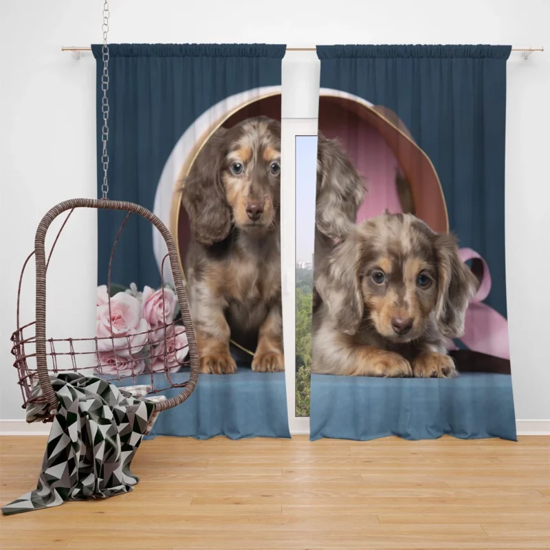 Fourfold Dachshund Beauty: Dachshund Quartet Window Curtain