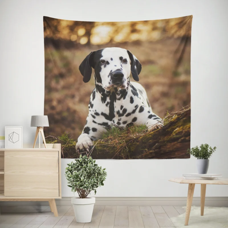 Fourfold Dalmatian Beauty  Dalmatian Quartet Wall Tapestry