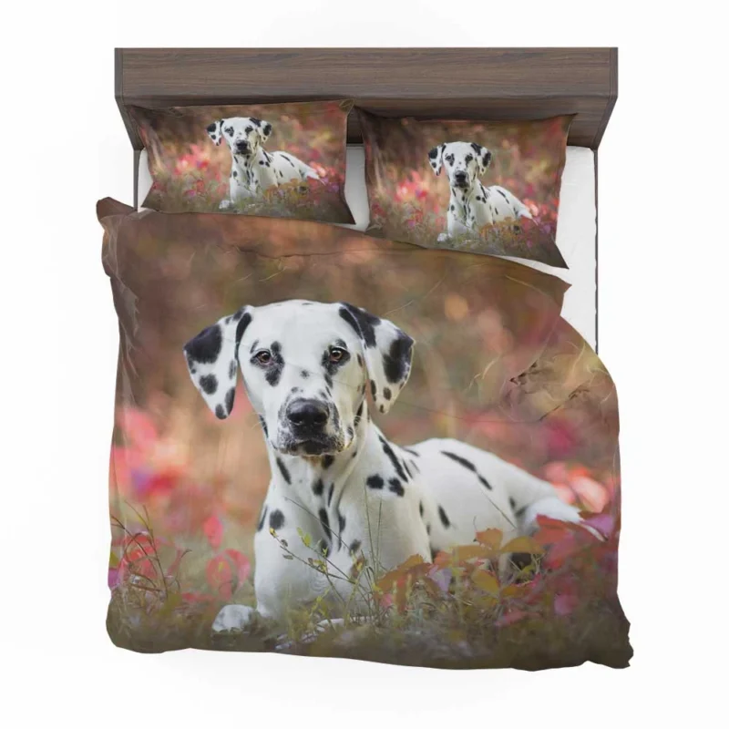 Fourfold Dalmatian Elegance: Dalmatian Quartet Bedding Set 1