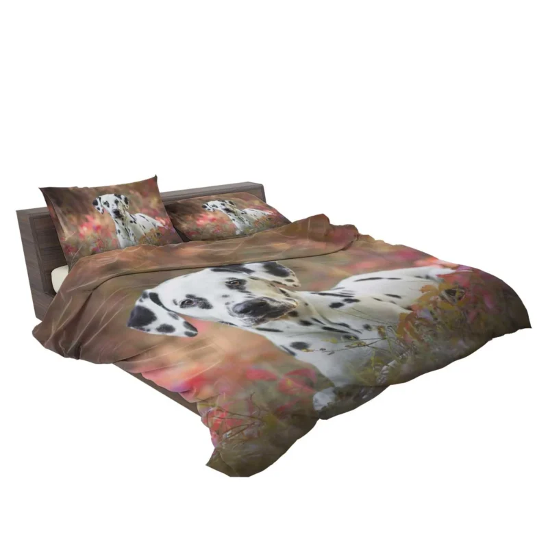 Fourfold Dalmatian Elegance: Dalmatian Quartet Bedding Set 2