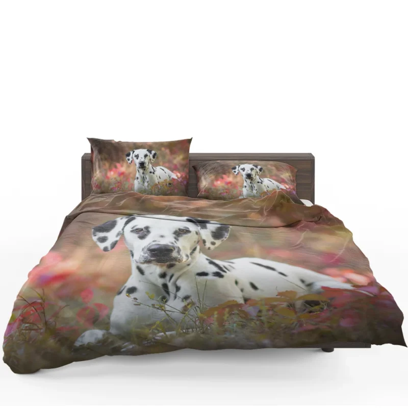 Fourfold Dalmatian Elegance: Dalmatian Quartet Bedding Set