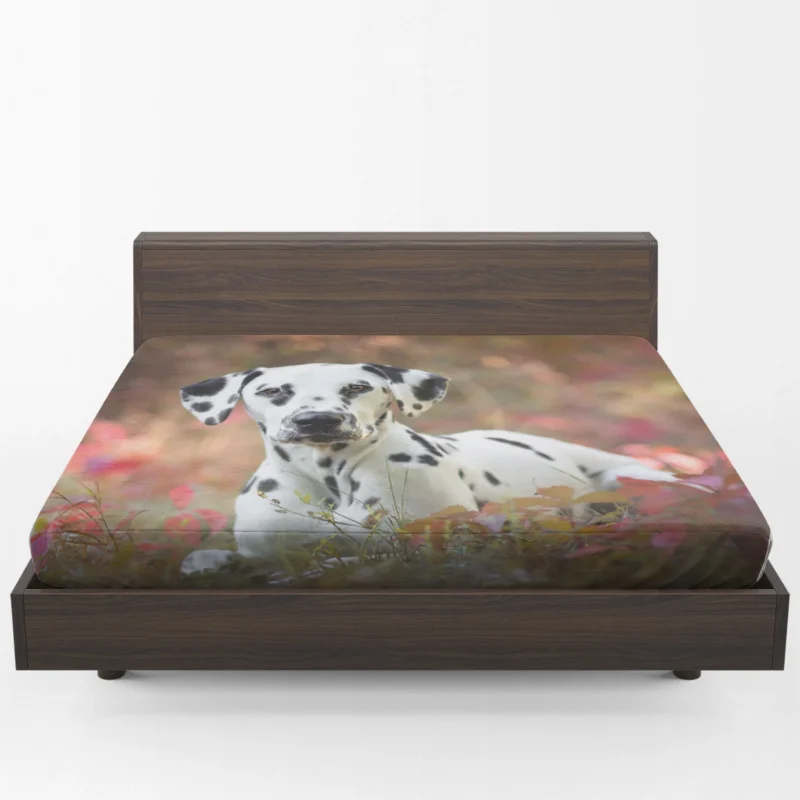 Fourfold Dalmatian Elegance: Dalmatian Quartet Fitted Sheet 1