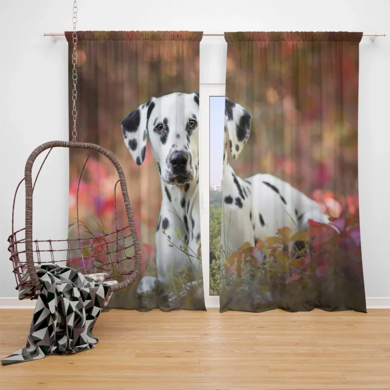 Fourfold Dalmatian Elegance: Dalmatian Quartet Window Curtain