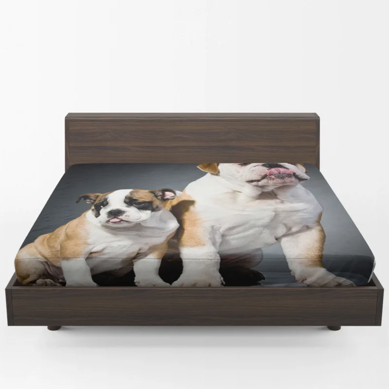 Fourfold Delight: Bulldog Quartet Fitted Sheet 1