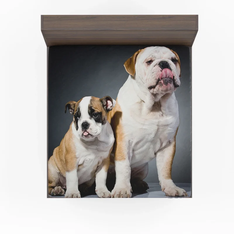 Fourfold Delight: Bulldog Quartet Fitted Sheet