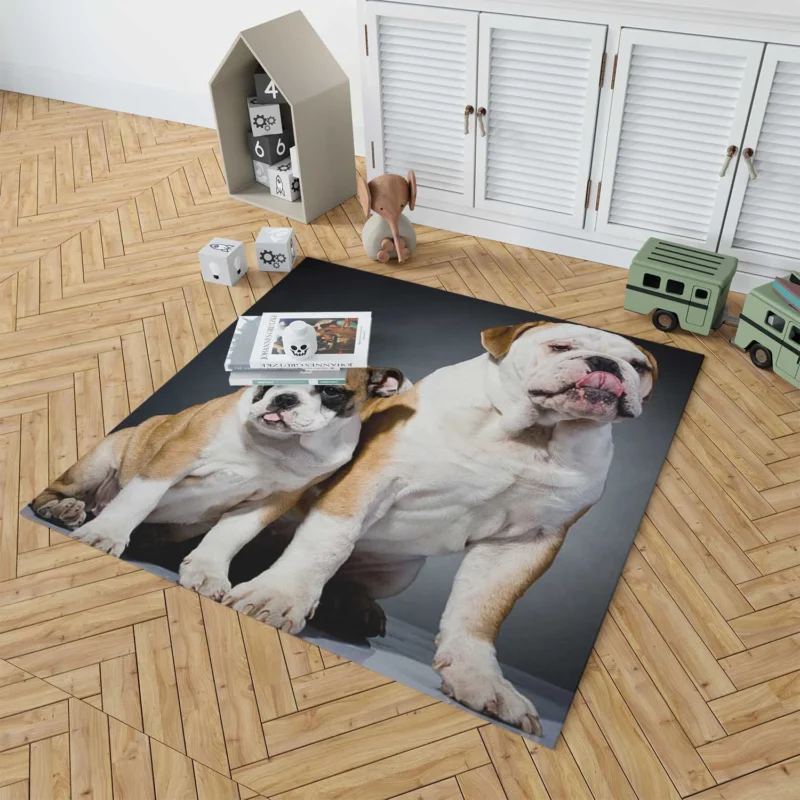 Fourfold Delight: Bulldog Quartet Floor Rug 1