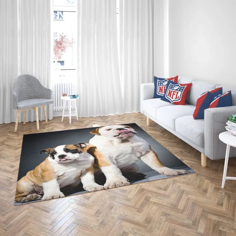 Fourfold Delight: Bulldog Quartet Floor Rug 2