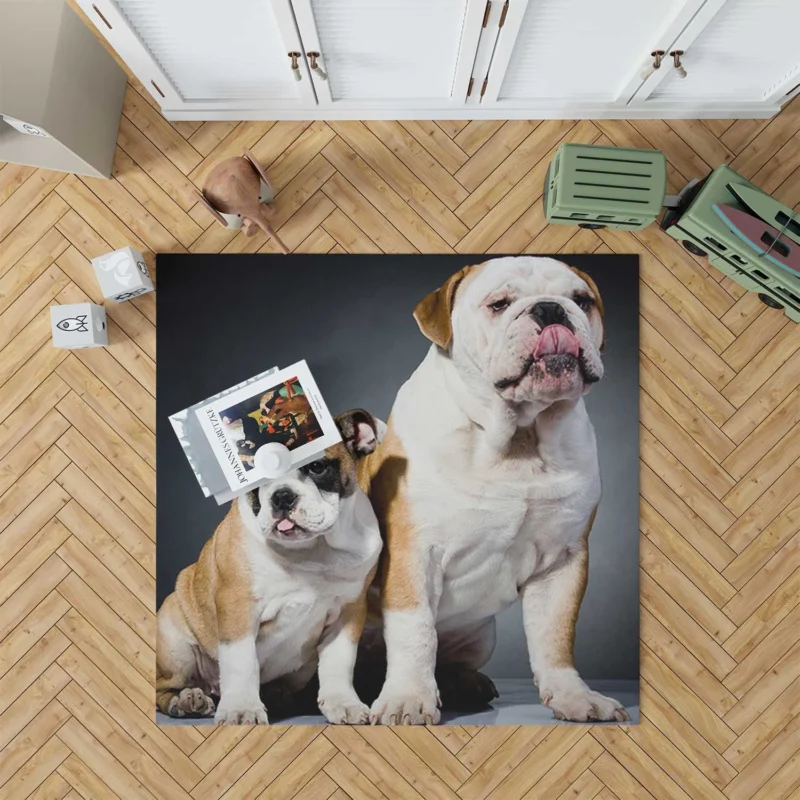 Fourfold Delight: Bulldog Quartet Floor Rug