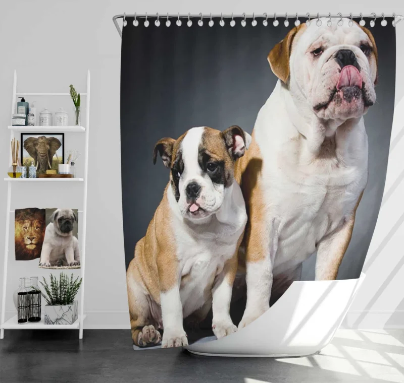 Fourfold Delight: Bulldog Quartet Shower Curtain