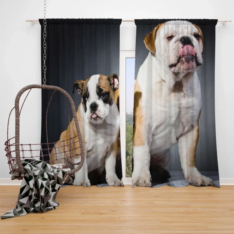 Fourfold Delight: Bulldog Quartet Window Curtain