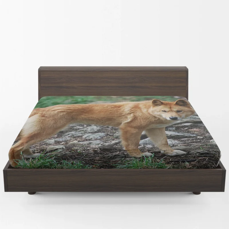 Fourfold Dingo Beauty: Dingo Quartet Fitted Sheet 1