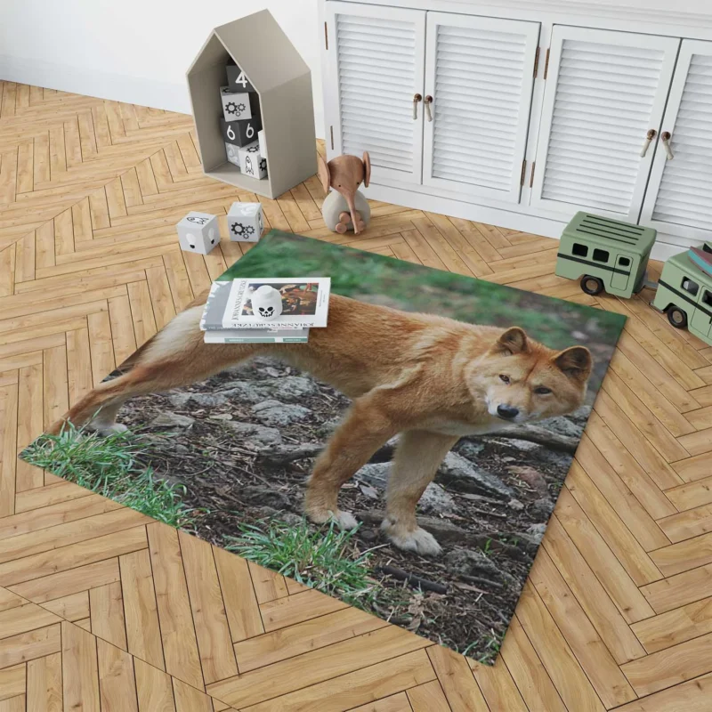 Fourfold Dingo Beauty: Dingo Quartet Floor Rug 1