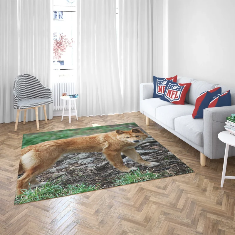 Fourfold Dingo Beauty: Dingo Quartet Floor Rug 2