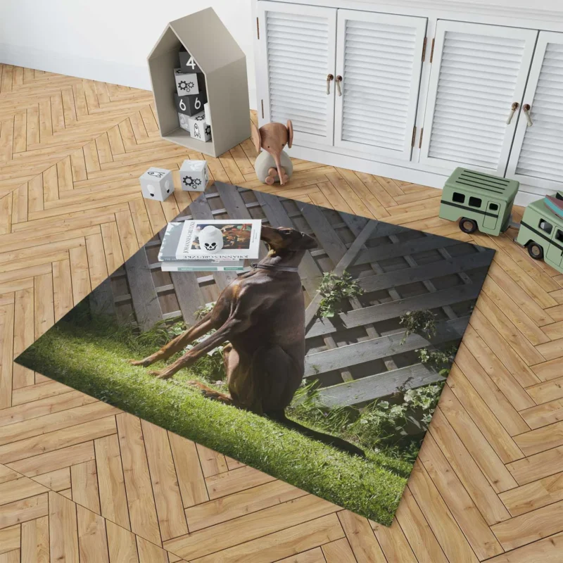 Fourfold Doberman Pinscher Beauty: Doberman Pinscher Quartet Floor Rug 1