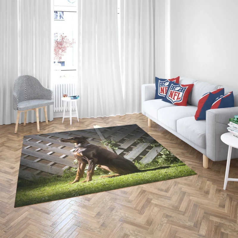 Fourfold Doberman Pinscher Beauty: Doberman Pinscher Quartet Floor Rug 2