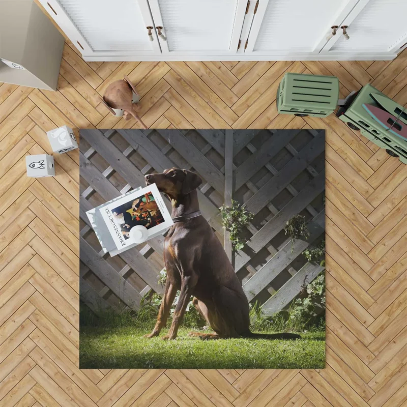 Fourfold Doberman Pinscher Beauty: Doberman Pinscher Quartet Floor Rug