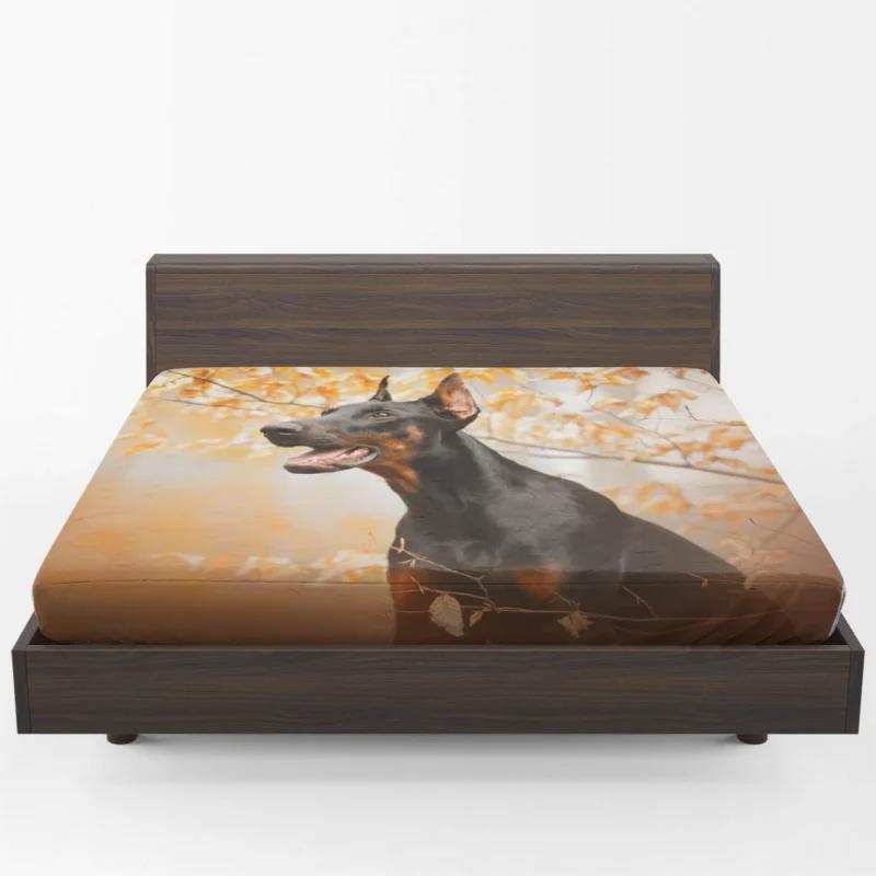 Fourfold Doberman Pinscher Elegance: Doberman Pinscher Quartet Fitted Sheet 1