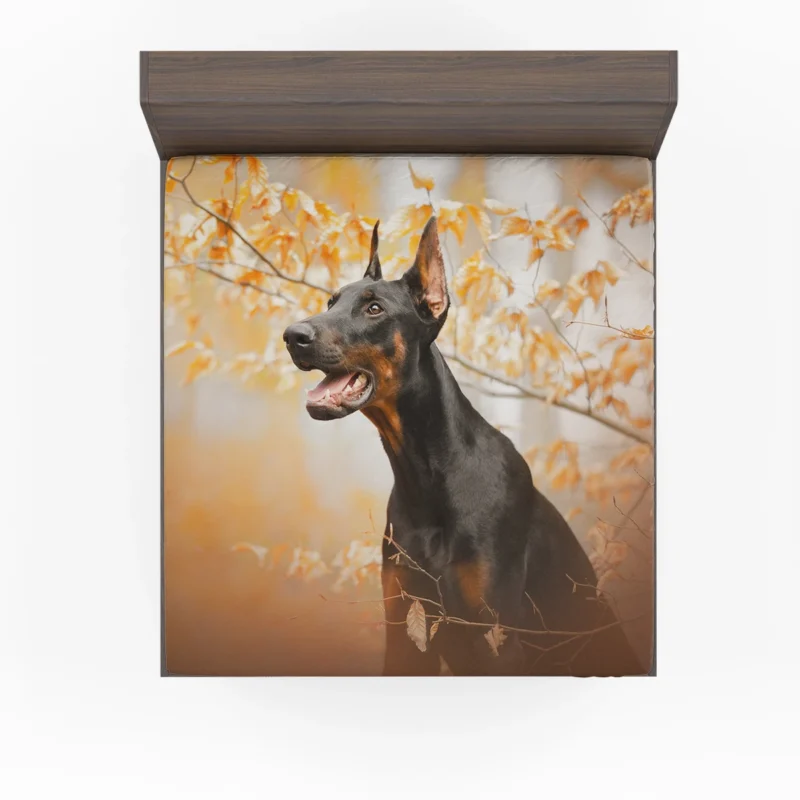 Fourfold Doberman Pinscher Elegance: Doberman Pinscher Quartet Fitted Sheet