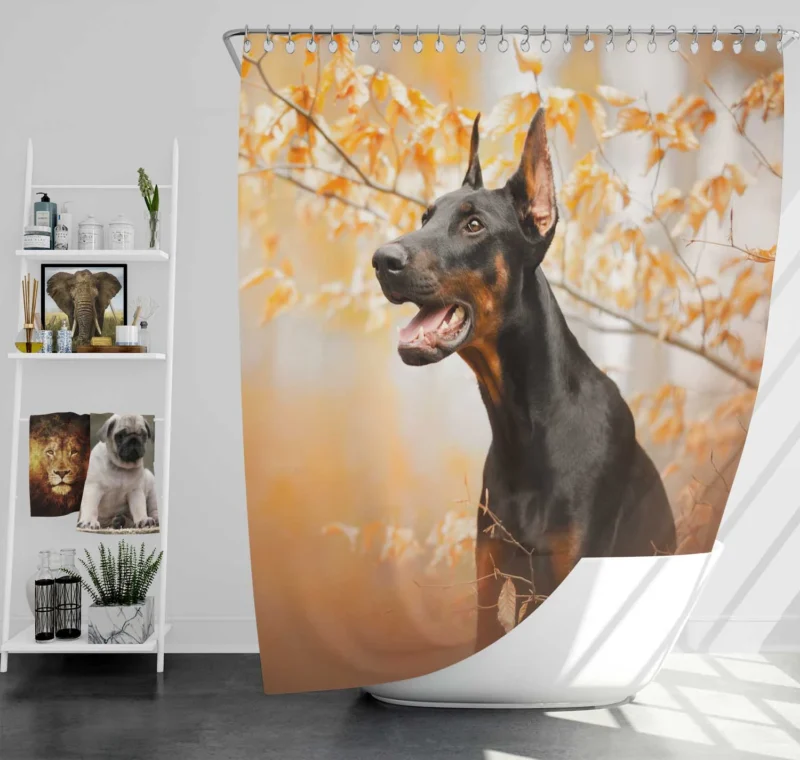 Fourfold Doberman Pinscher Elegance: Doberman Pinscher Quartet Shower Curtain