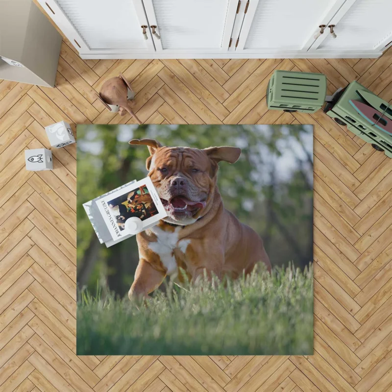 Fourfold Dogue de Bordeaux Beauty: Quartet Floor Rug