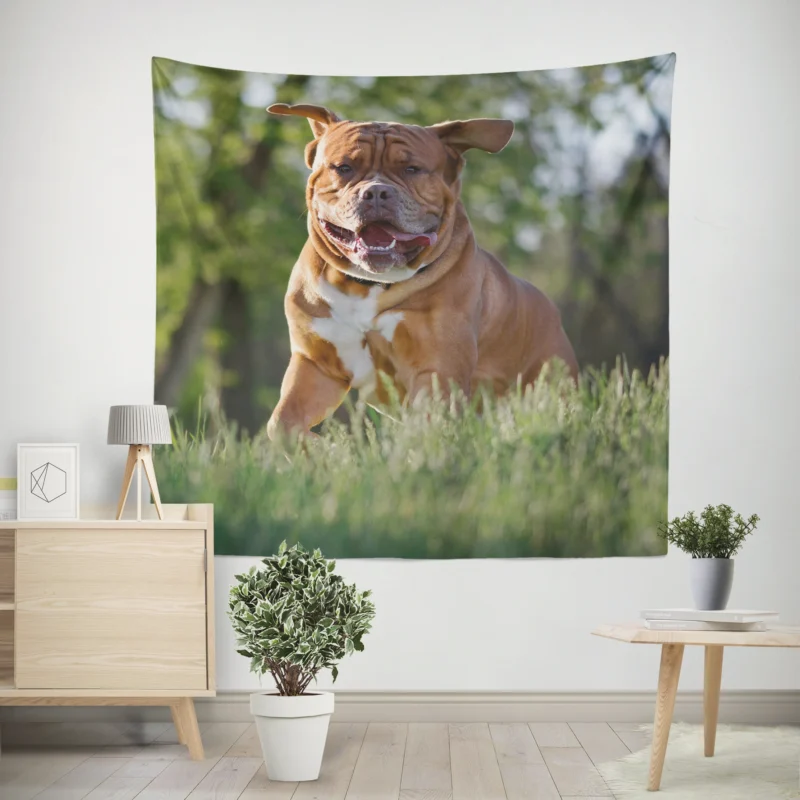 Fourfold Dogue de Bordeaux Beauty  Quartet Wall Tapestry