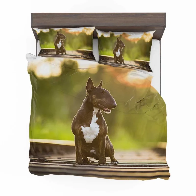 Fourfold Elegance: Bull Terrier Quartet Bedding Set 1