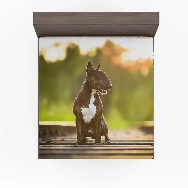 Fourfold Elegance: Bull Terrier Quartet Fitted Sheet