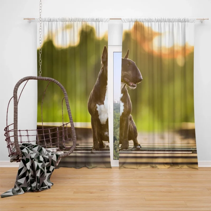 Fourfold Elegance: Bull Terrier Quartet Window Curtain